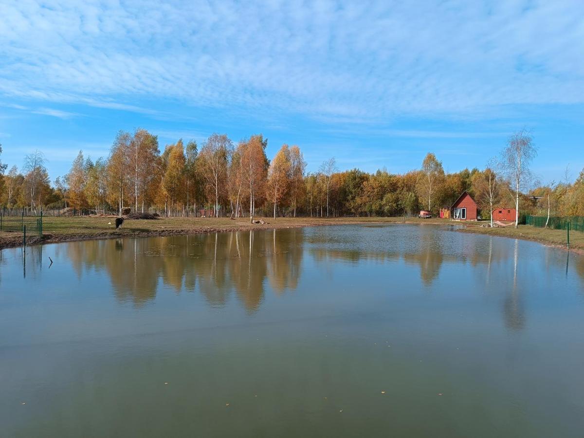 Summerland Tinuzi Exteriör bild