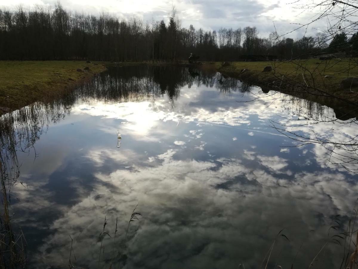 Summerland Tinuzi Exteriör bild