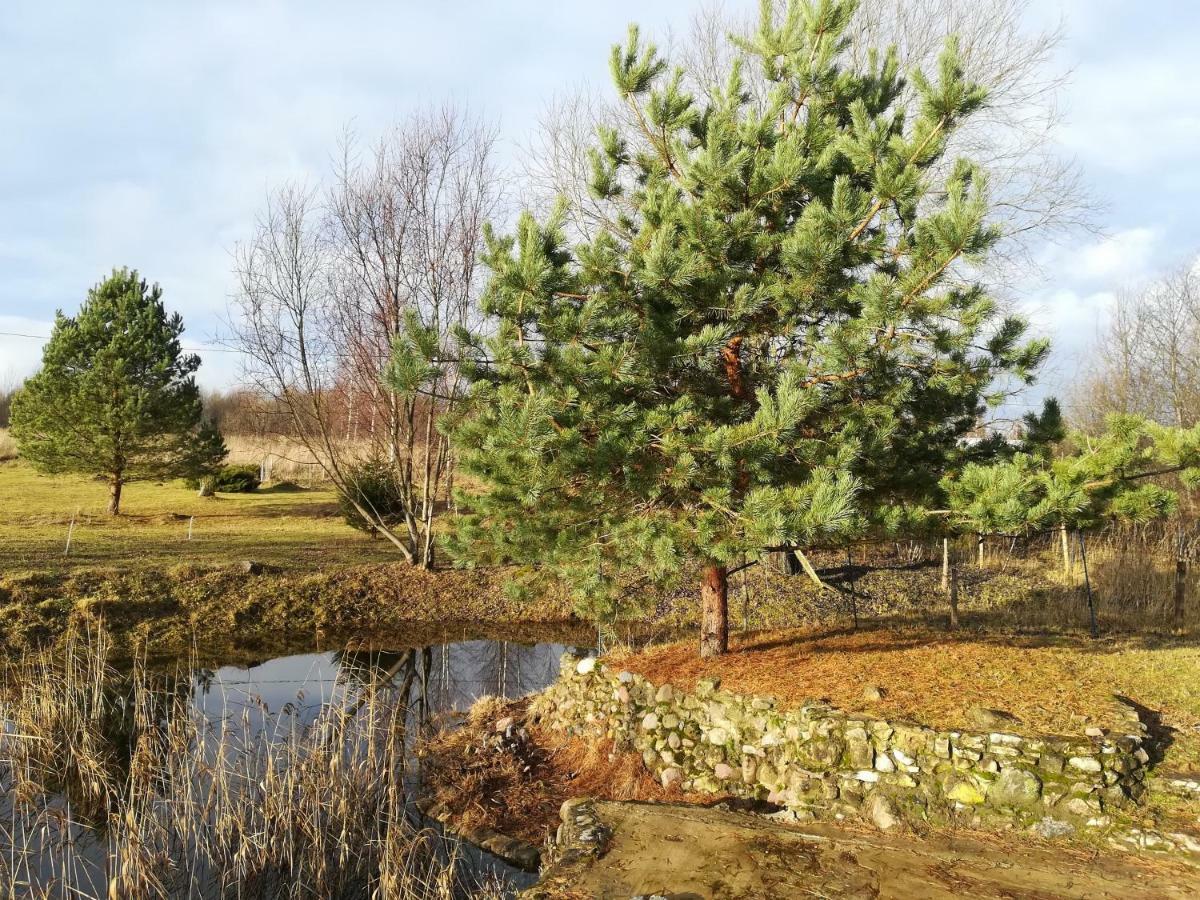 Summerland Tinuzi Exteriör bild
